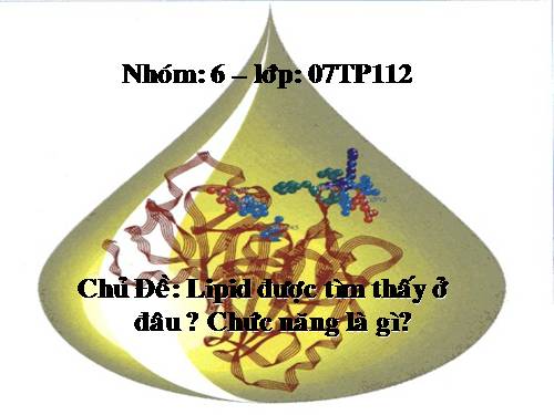 Lipid-ChucNang