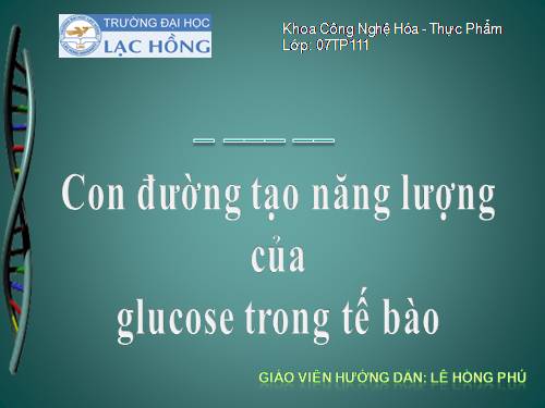 con đường tạo năng lượng của glucozo trong tế bào