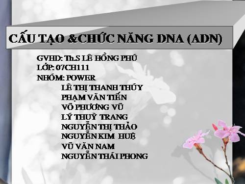 cấu tạo và chức năng của dna (2)