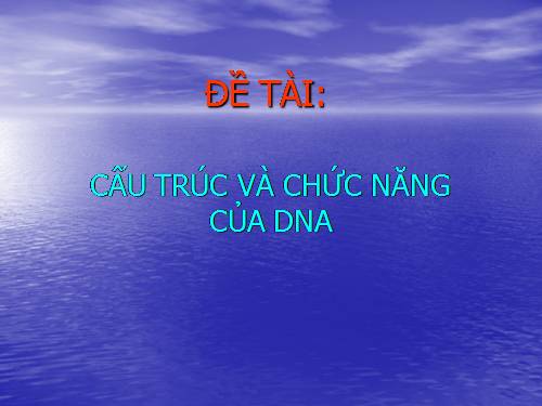 CẤU TRÚC VÀ CHỨC NĂNG CỦA DNA