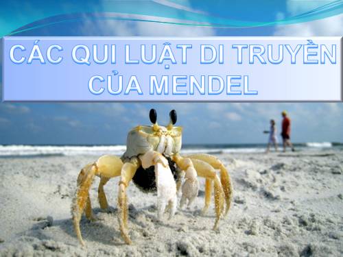 quy luat di truyen menden