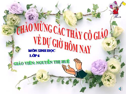 Tiết 38: Thụ tinh, kết hạt và tạo quả