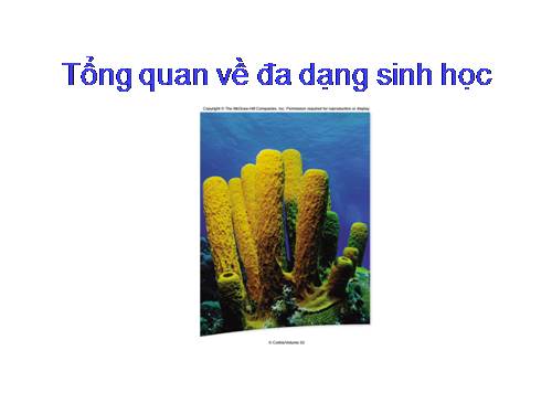 Đa dang sinh học