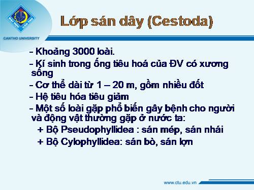 báo cáo bệnh sán dải cá và sán nhái