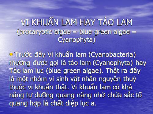 Vi khuẩn