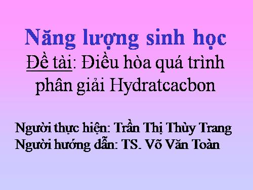 thuyết trình