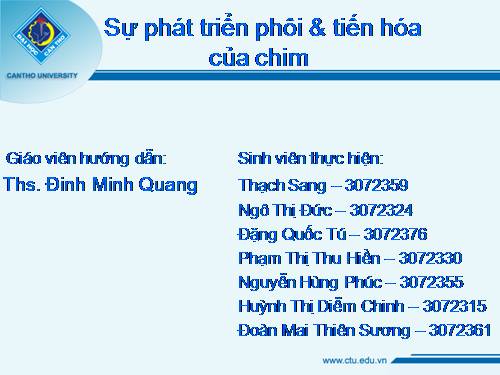 sự phát triển phôi và tiến hóa của chim