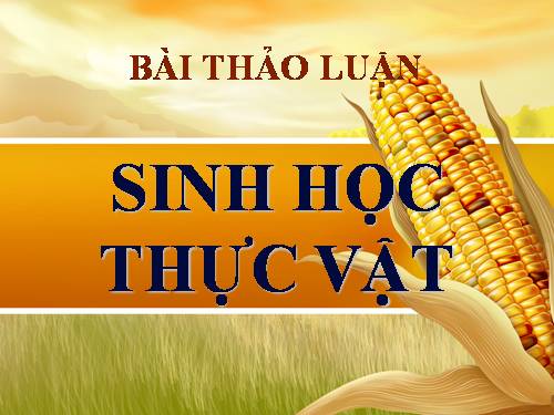 Cấu tạo thân cây