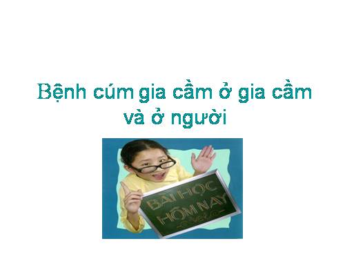 Bệnh cúm gia cầm và ở người
