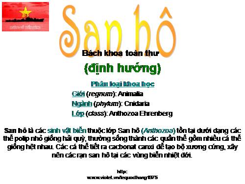 San hô (Bách khoa toàn thư)