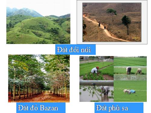 bai 11 hut nuoc cua re