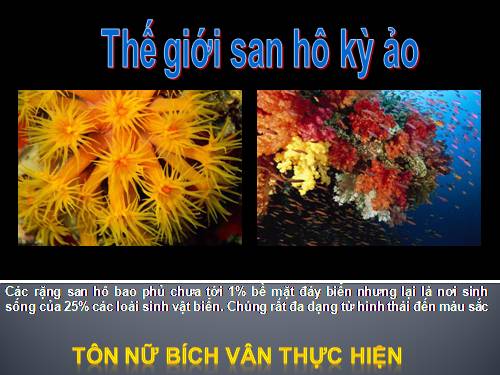 Thế giới san hô kỳ ảo