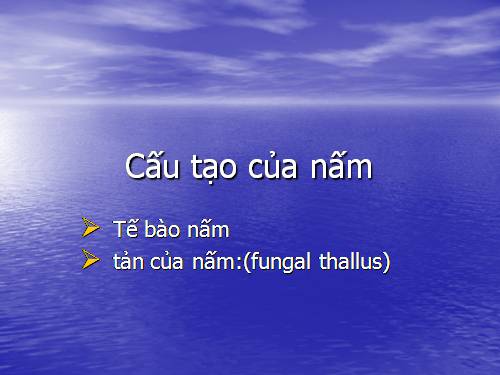 vi sinh vật nhân thực