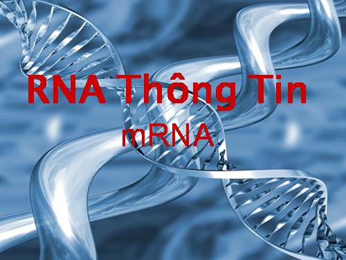 RNA thông tin