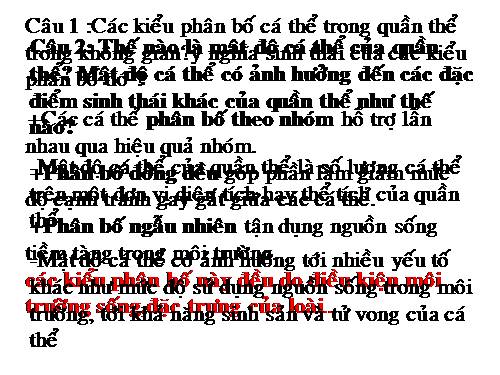 chi xem choi