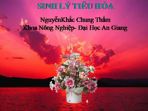 SINH LY TIEU HOA