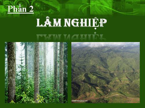 bài 22: vai trò của rừng và nhiệm vụ trồng rừng