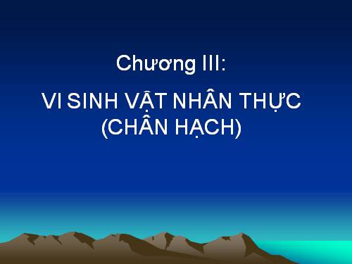 Sinh vật nhân thực