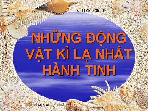 NHỮNG ĐỘNG VẬT KÌ LẠ NHẤT HÀNH TINH