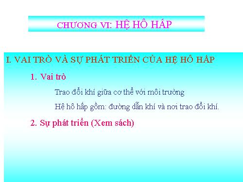 hệ hô hấp