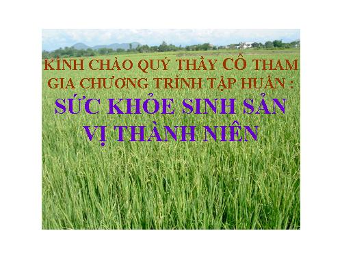 giáo dục sức khỏe sinh sản vị thành niên (Bình Thuận)