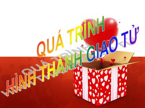 SỰ TẠO GIAO TỬ