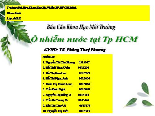 Ô nhiễm nước tp Hồ Chí Minh