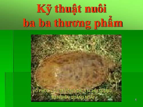 KỸ THUẬT NUÔI BABA THƯƠNG PHẢM