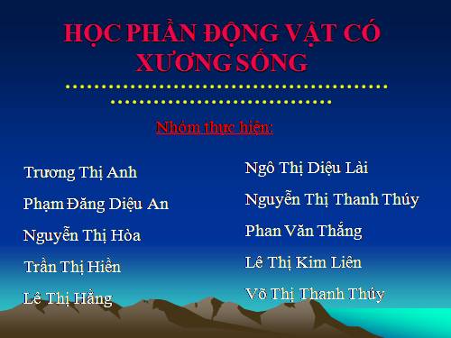 dong vat khong xuong song