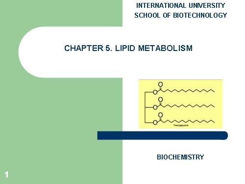 lipid metabolism