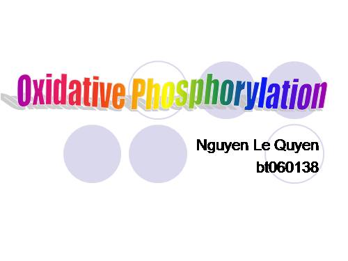 oxidative phóphorylation