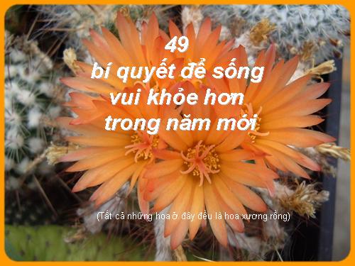 hoa xuong rong va cach song dep