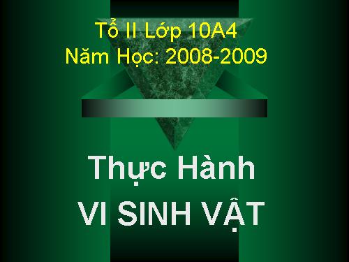 Thực Hành VSV