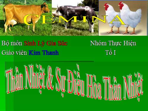 than nhiet dong vat