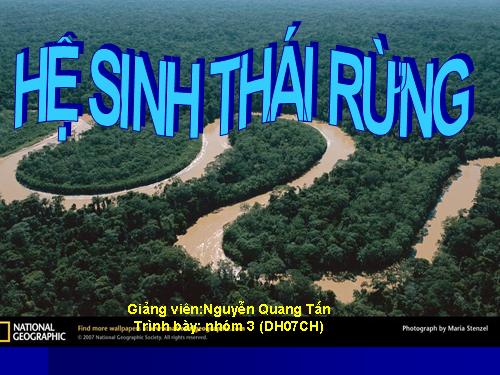 sinh thái rừng