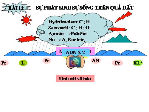 clip minh họa sự phát sinh sự sống