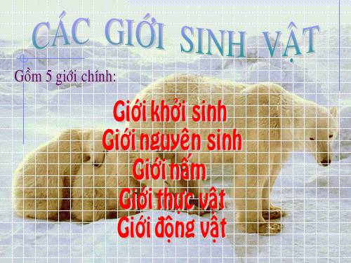 hinh anh sinh 10