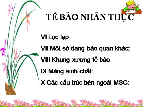 BAI GÍNG DIEN TU