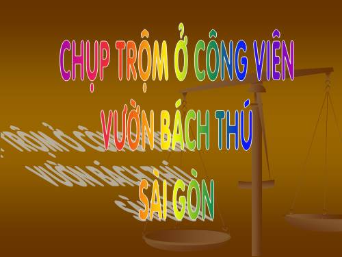 Chụp trộm ở Công Viên