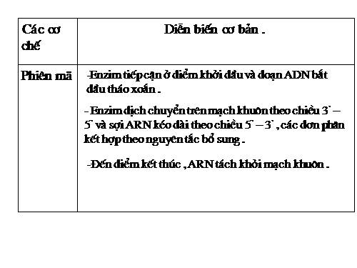 sinh học 12_ tiết 31