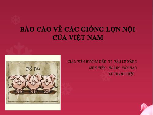 Bài 2; Giống lợn nhập nội