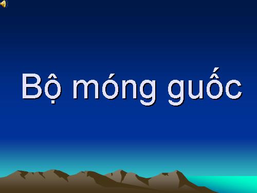 hinh anh ve bo mong guoc va bo hinh nguoi