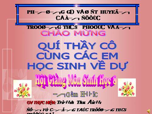 Hoat dong than kinh cap cao o nguoi