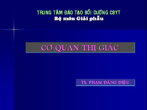 Giai phau 4