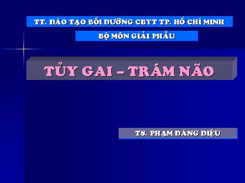 Giai phau 14