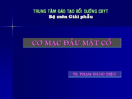 Giai phau 2