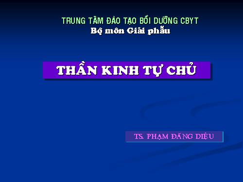 Giai phau 13