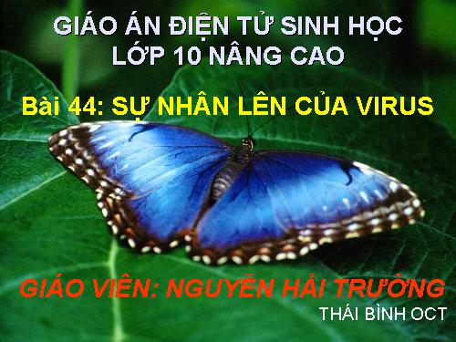 sinh học 10