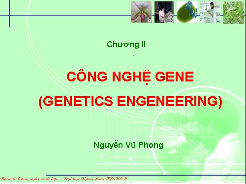 công nghệ DNA