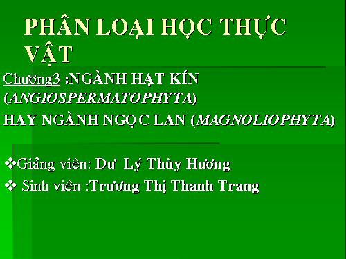 Ngành hạt kín